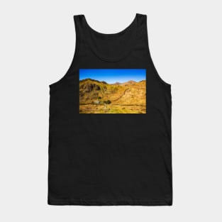 Snowdon summit from the viewpoint on A498 Tank Top
